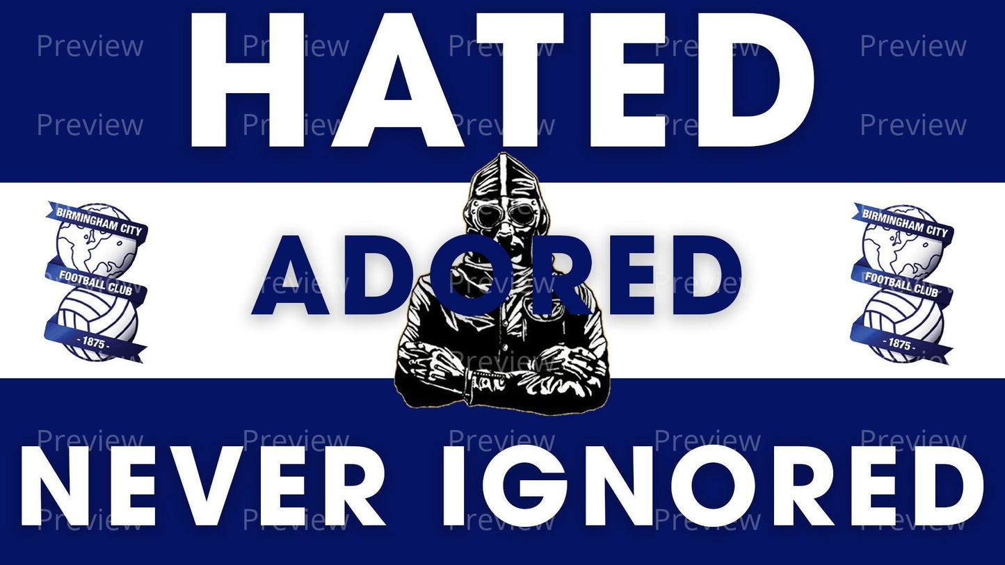 Birmingham Hated Adored Stickers