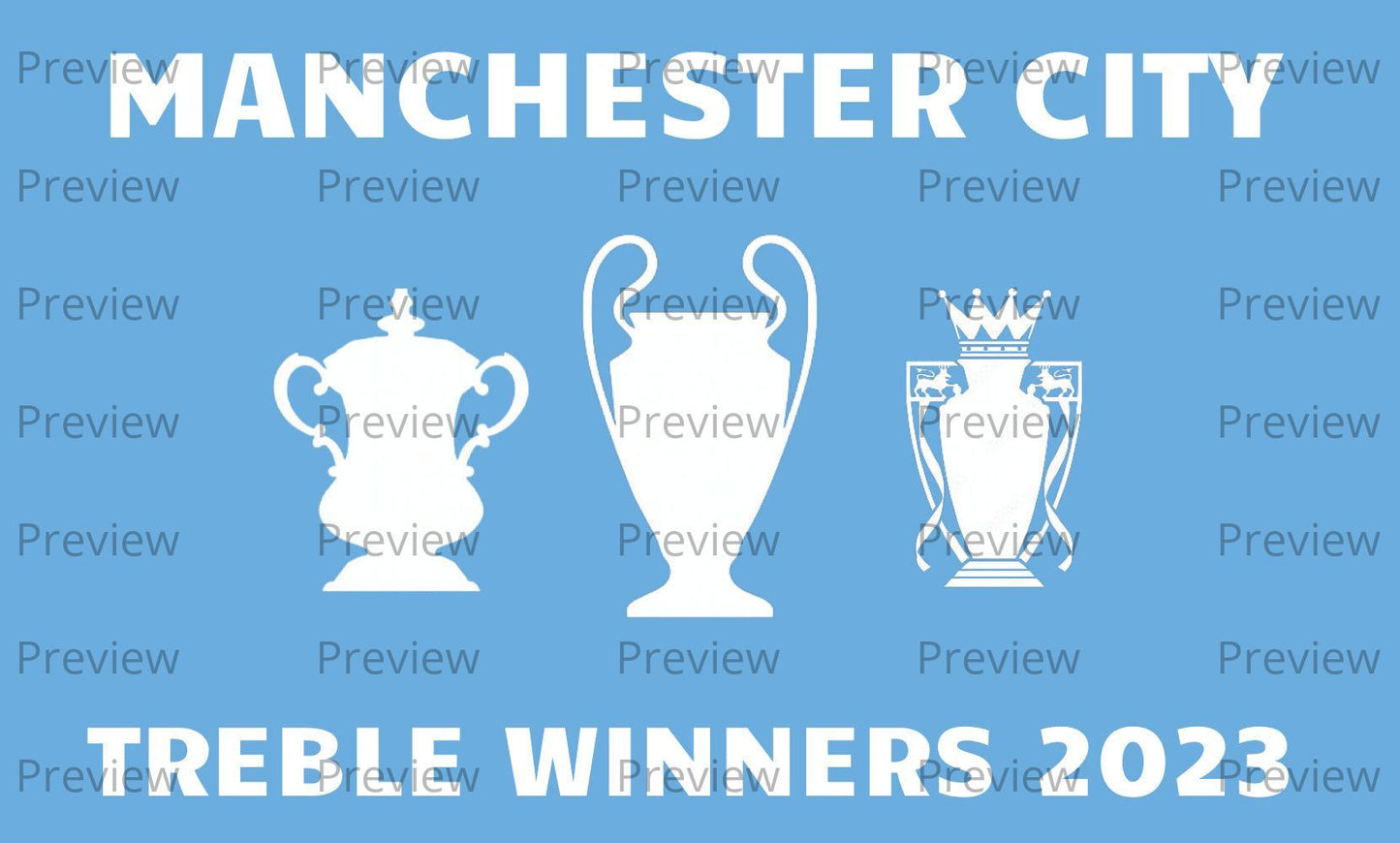 Manchester City Treble Winners Stickers